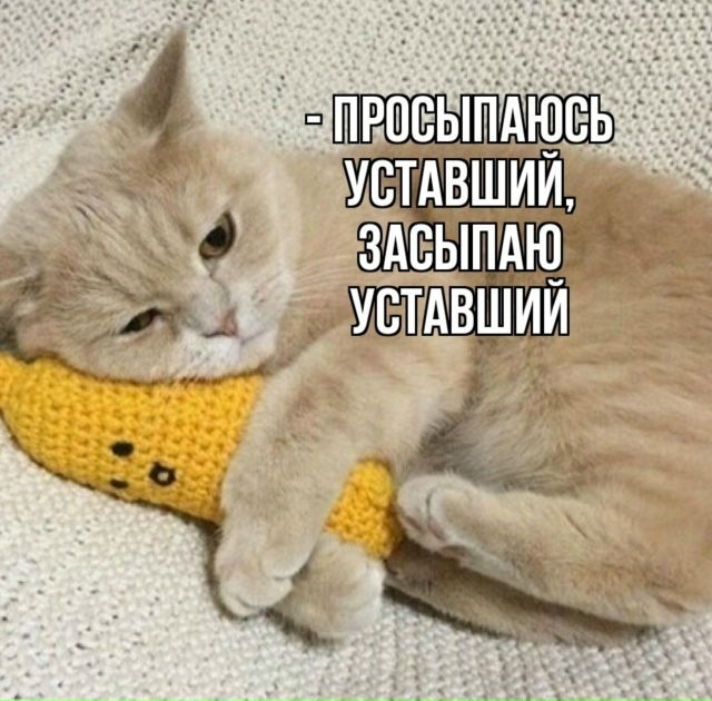 Как все это знакомо