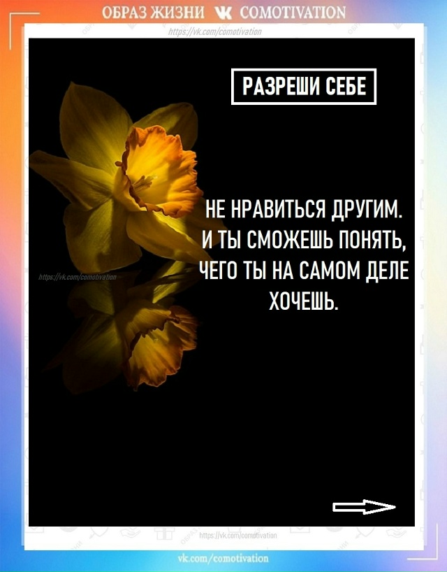 Разреши себе