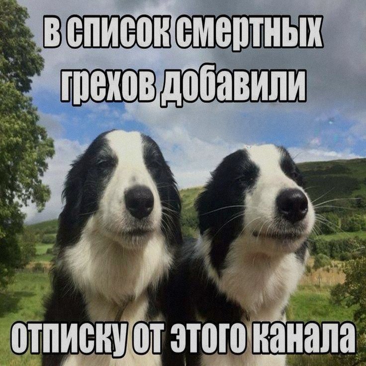 Ночная подборочка
Спать, режим