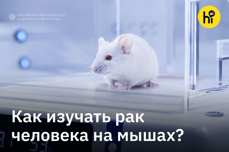 🎓 Noetik AI строит симулятор рака, чтобы мыши перестали обманывать фарму
Все препараты против рака