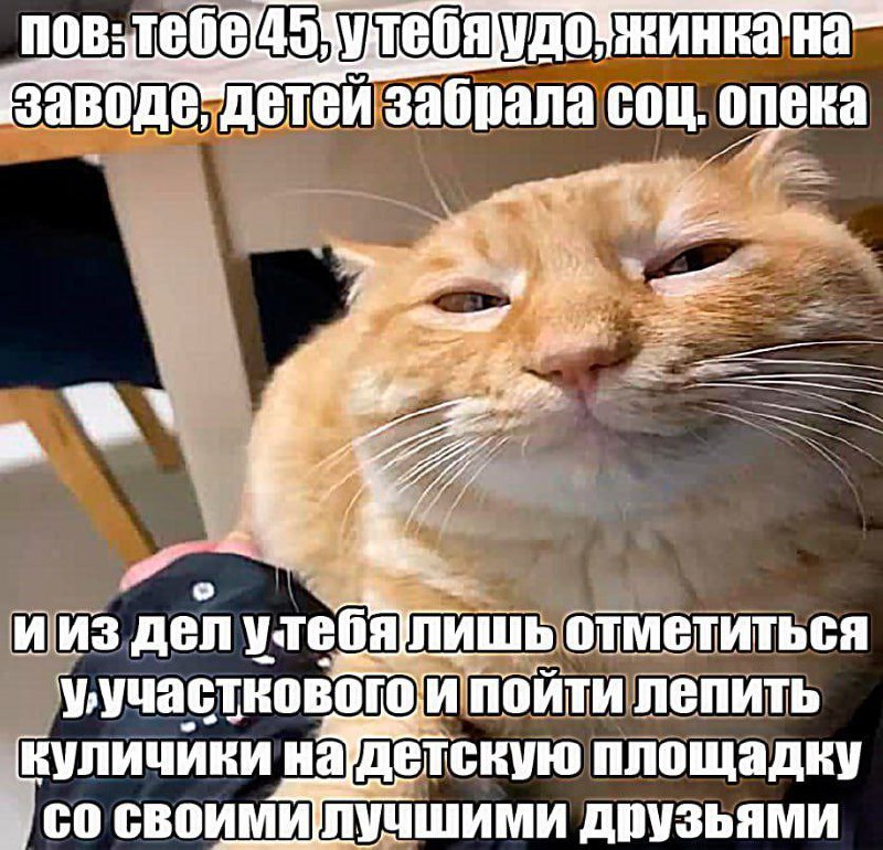 Утренняя подборочка