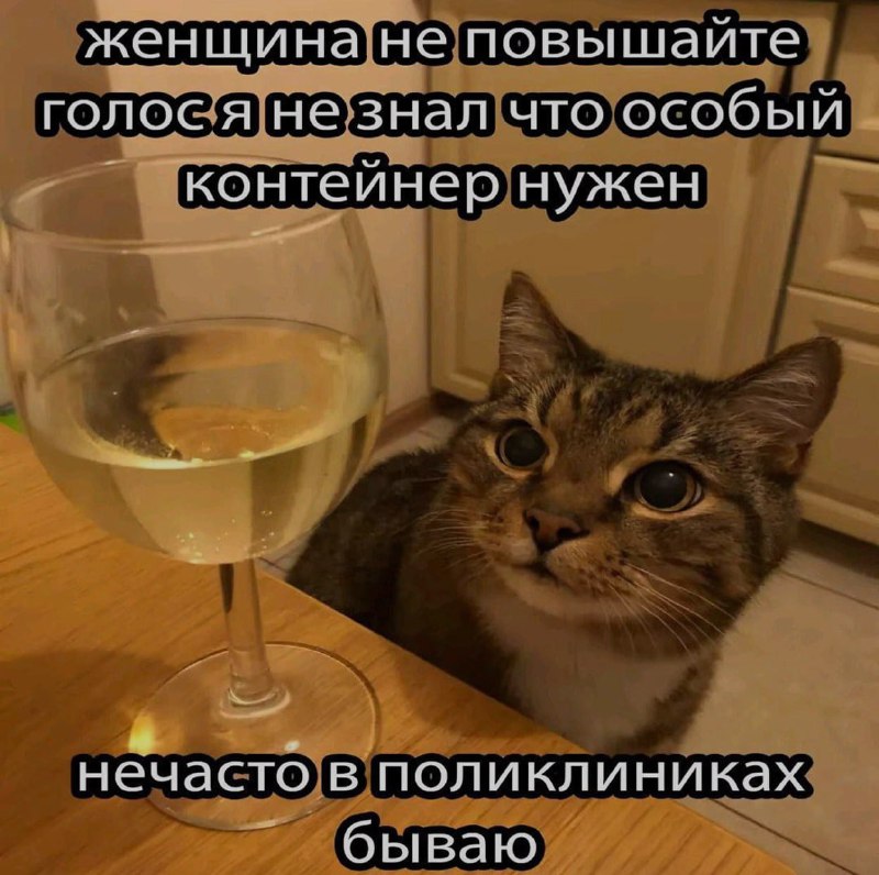 Ночная подборочка
Не спим, готовим салаты