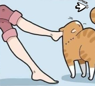 Извечный сюрприз от любимого котика)😂