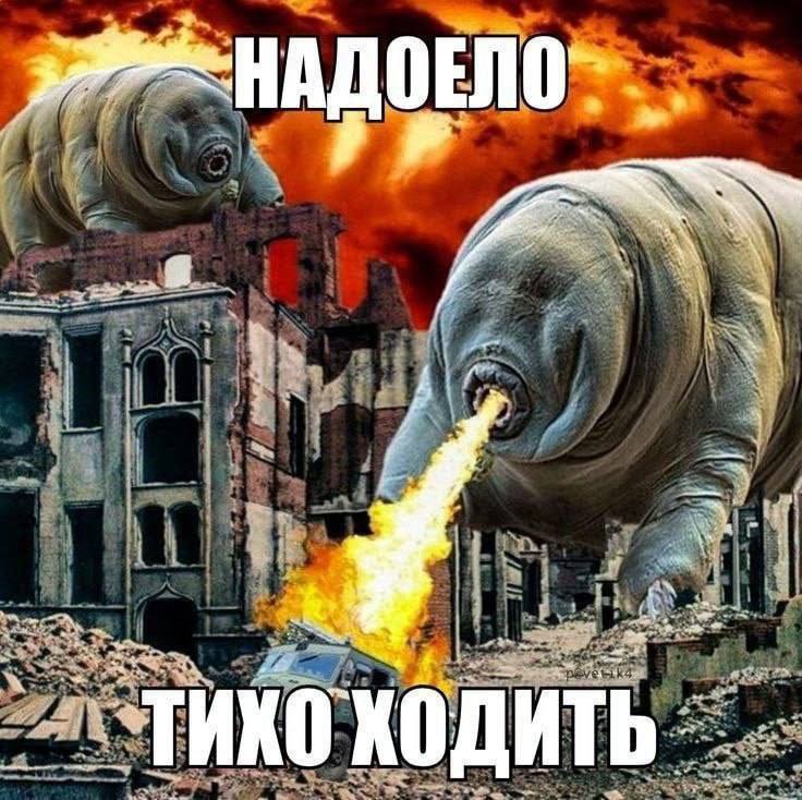 он утром, когда мне никуда не надо
