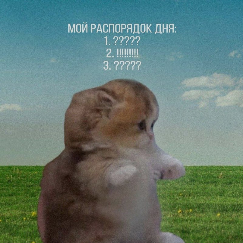 Ночная подборочка
Спать, режим