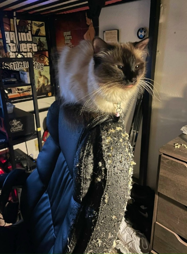 Главное что художник доволен