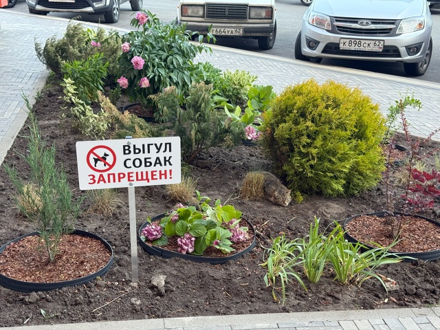 А я и не собака…
