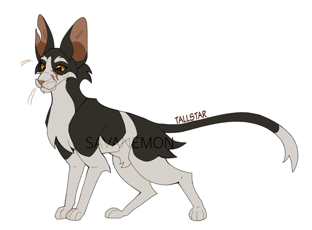 Звездный Луч
© savanemon
#KV_ZZ_ART