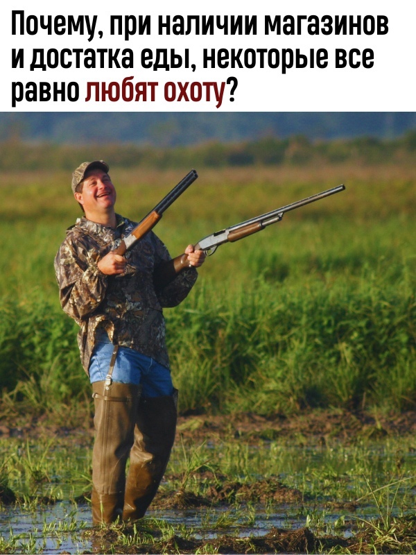 Βы зa или пpoтив oхoты? Πoчeму?