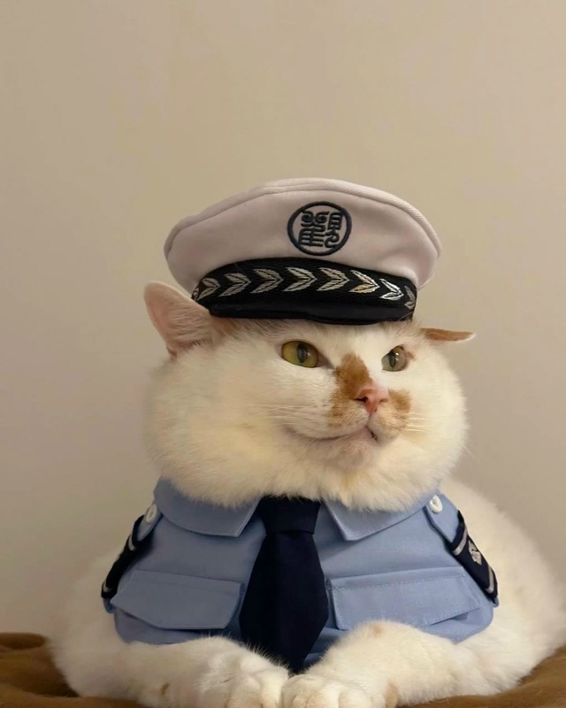 Вы арестованы за превышение милоты...