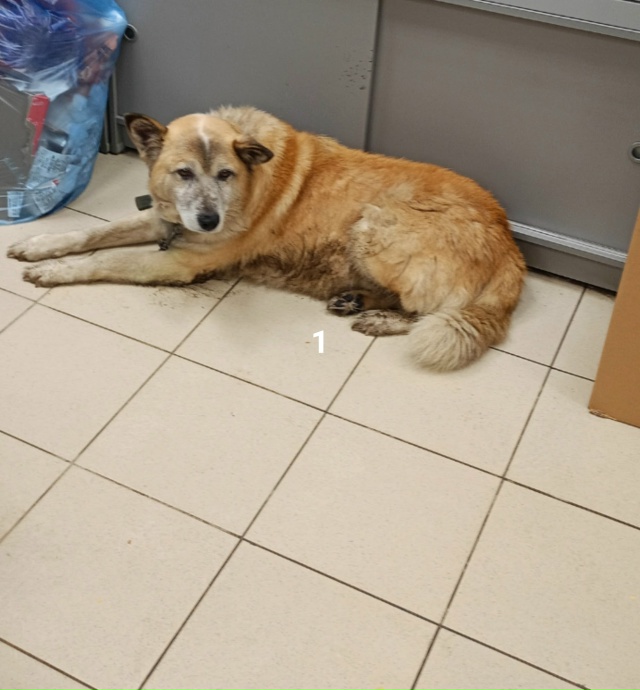 #ПотерялиНашлиПомогите
1 Кто потерял, бегает у мини ры...