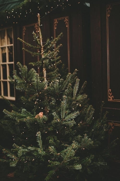 Счастья в жизни столько, сколько ты способен его замет?...