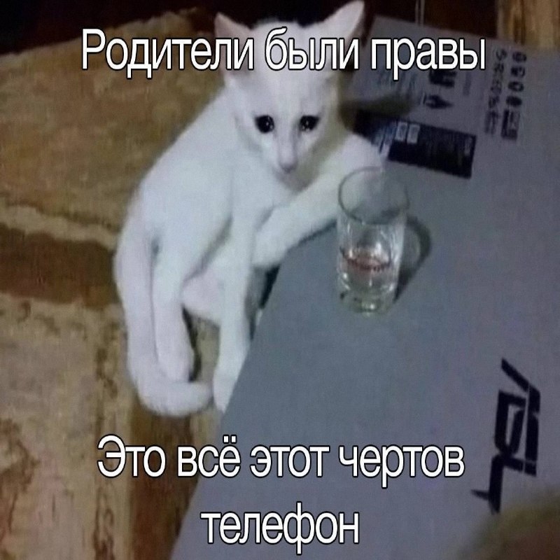 Утренняя подборочка