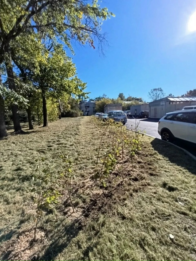 Осенние посадки в Петергофе
В период осеннего месячни...