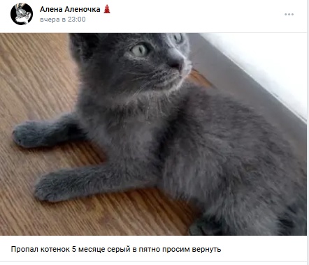 Пост добра. Распространите, пожалуйста.