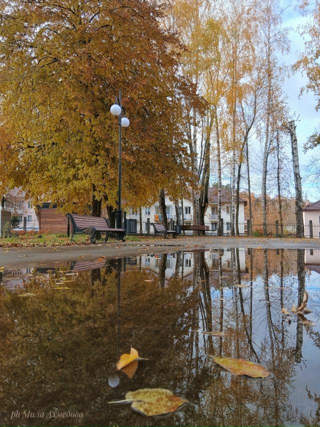 Больничный осенний октябрьский парк.
Отражение дер...