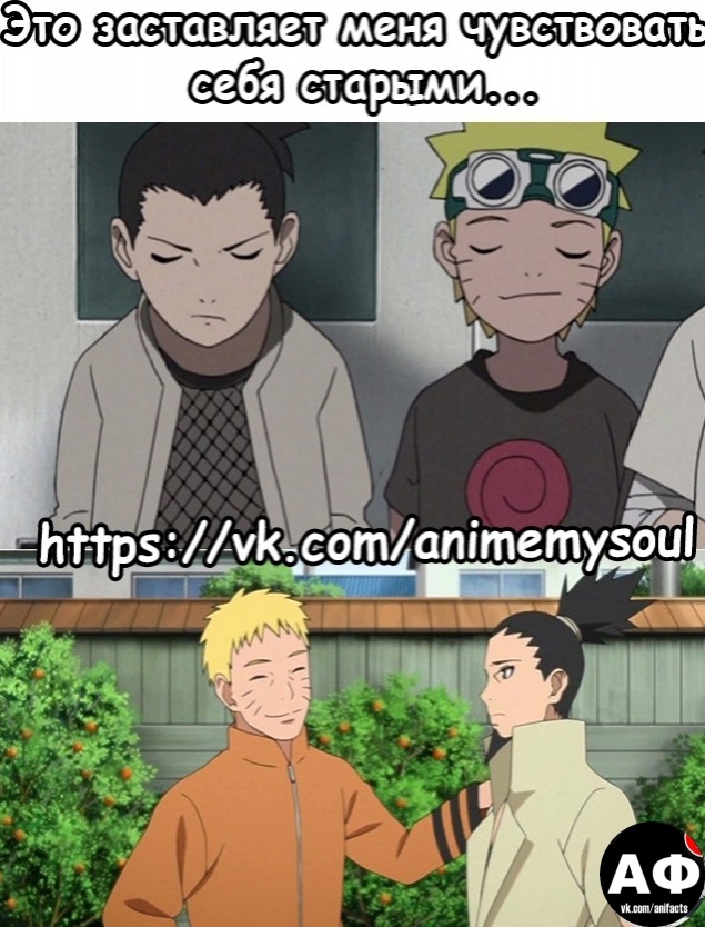 аниме факты