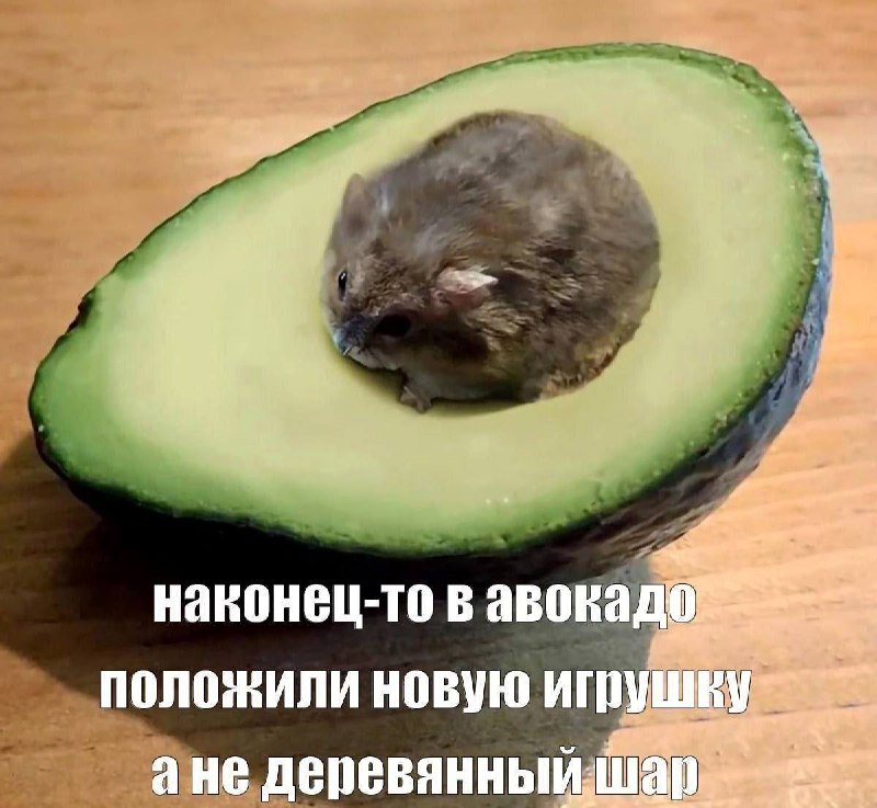 Утренняя подборочка