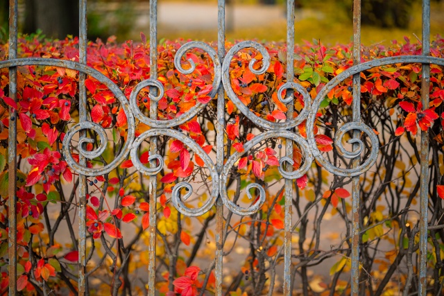 Осенние фотоэтюды