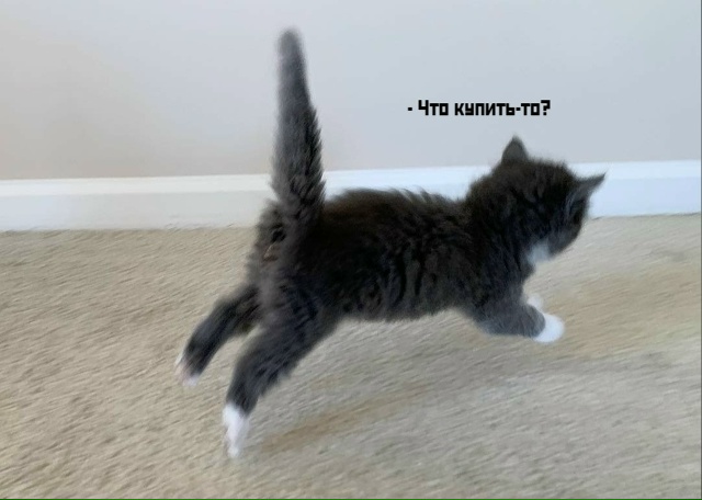 😂Дерзкий какой)