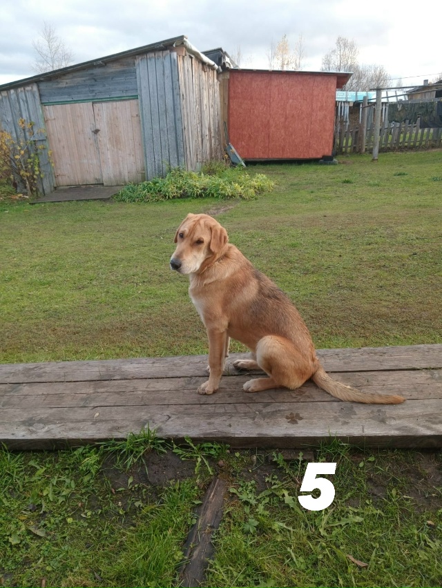 Потеряшки/находки:
1) Найден телефон в районе старого в...