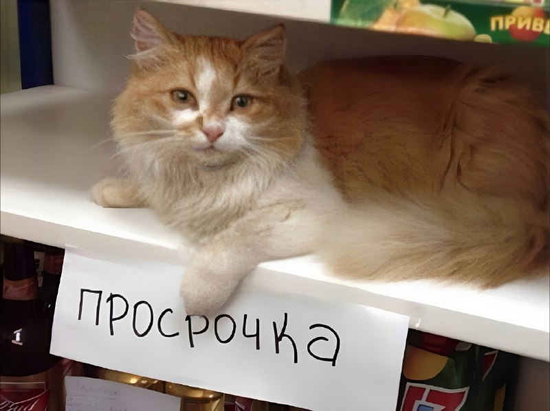 те самые топовые фотки с отдыха в прошлом году, которые тогда лень было выкладывать, а в этом году н