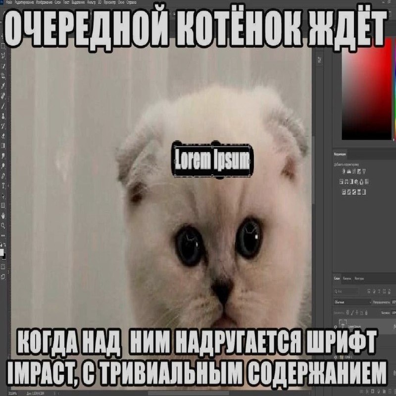 Ночная подборочка
Спать, режим