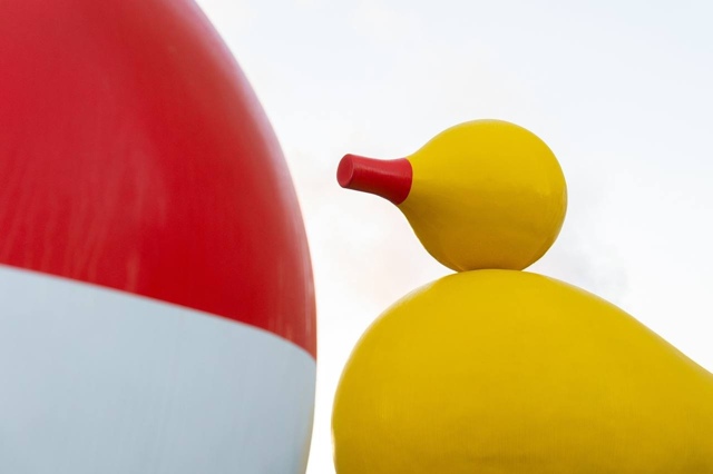 Гигантские птицы-свистульки поселились во дворе на Ре?...