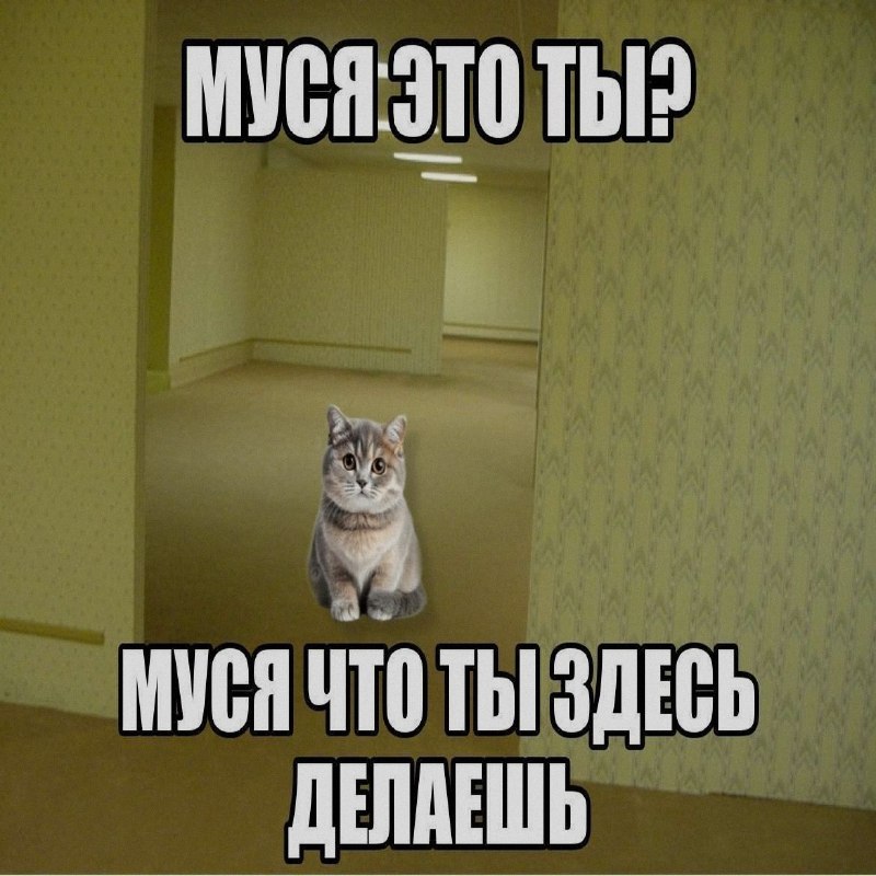 Ночная подборочка
Спать, режим