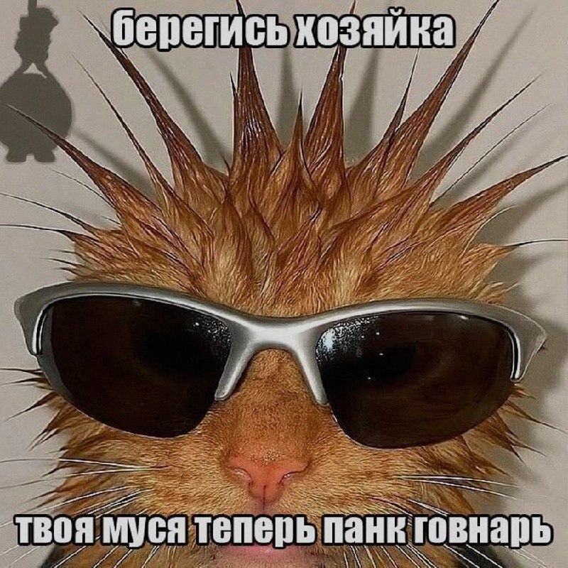 Ночная подборочка
Спать, режим