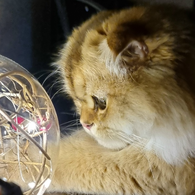 Ну очень интересно.