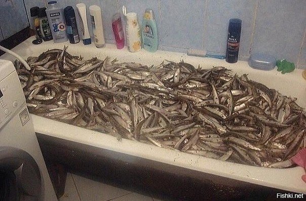 Сколько я уже говорила мужу - едешь на рыбалку, так отды...