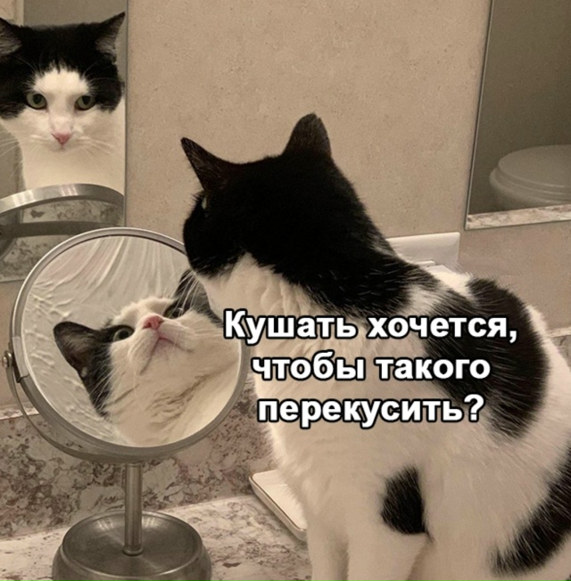 Вечная битва