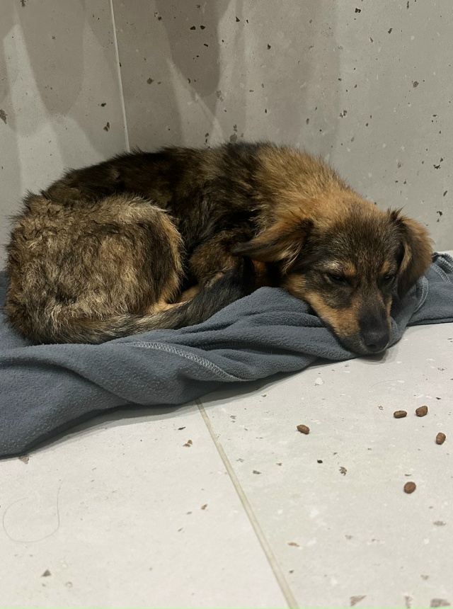 Добрый вечер! Может сегодня после 20.00, кто-то потерял св...