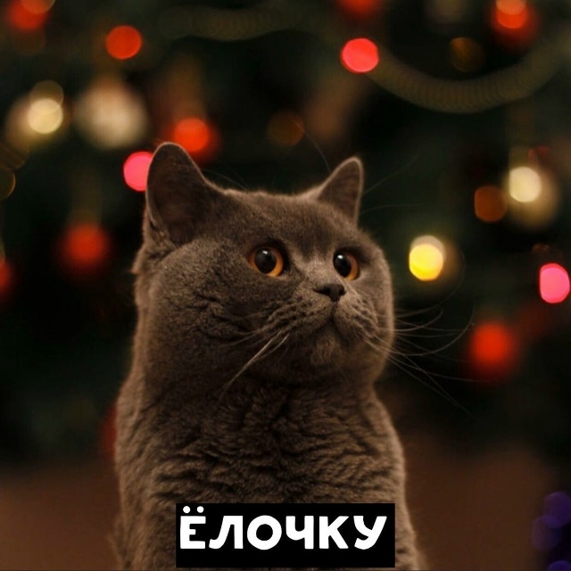 Скоро во всех квартирах страны ? ? ?