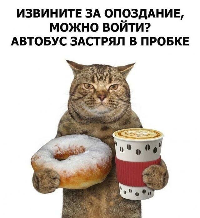 Девочки, сегодня отмечается Международный день кофе!
Тратим последние 600₽ на тыквенно-пряный латт