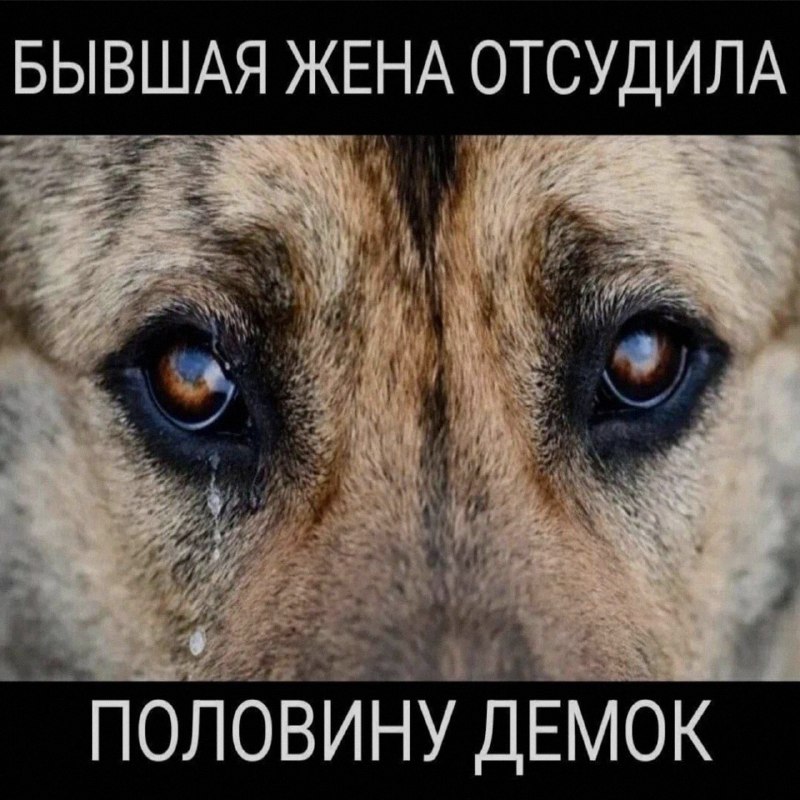 Ночная подборочка
Спать, режим