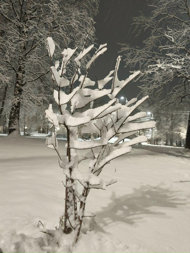 Где-то уже зима?а у нас дожди. Хотите зиму настоящую р?...