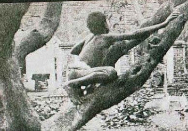 Дина Саничар жил в логове волков, его нашли в 1867 году. М?...