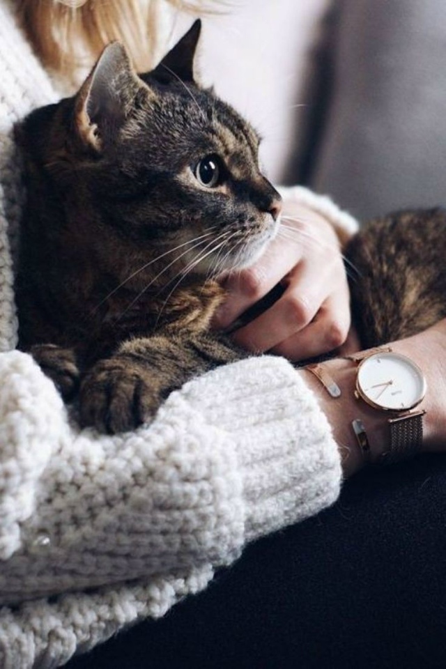 Исследователи обнаружили связь между паразитом Toxoplasma ...