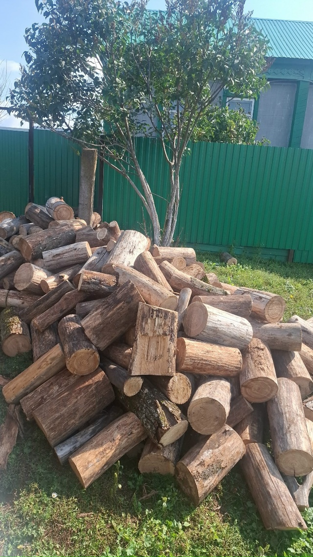 Продаем дрова 🪵 ильма колотые и чурбаками звоните по ?...