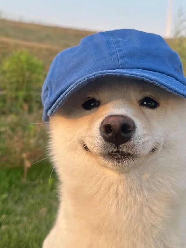 Хороший мальчик смотрит на хорошего человека