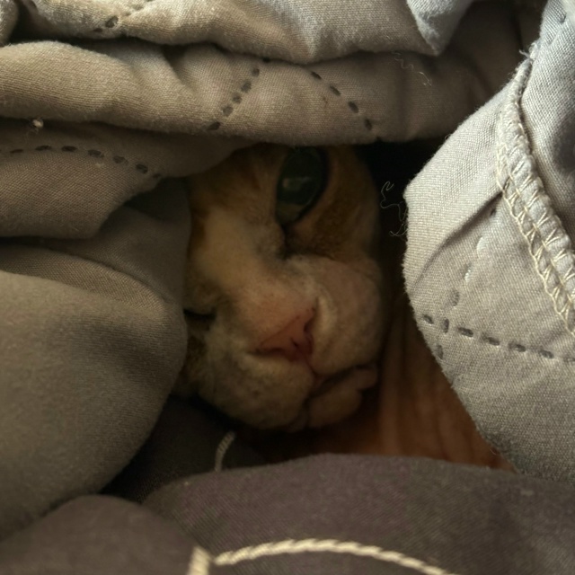 айзе за свои 12 лет довелось побывать в 3 городах, послед...