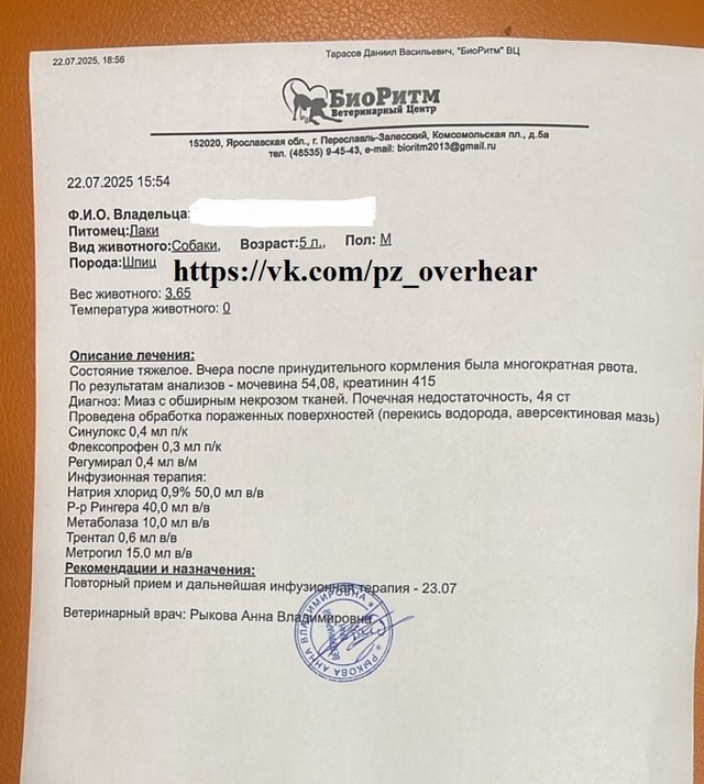 Друзья!
У нас срочный сбор!
ОЧЕНЬ НУЖНА ВАША ПОМОЩЬ!
К?...