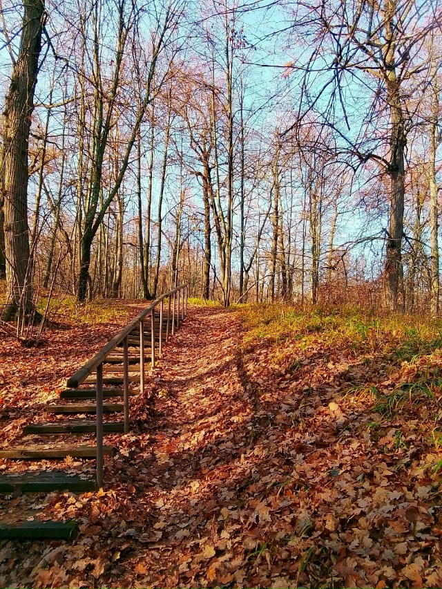 ПРИРОДА ДУХОВОЙ