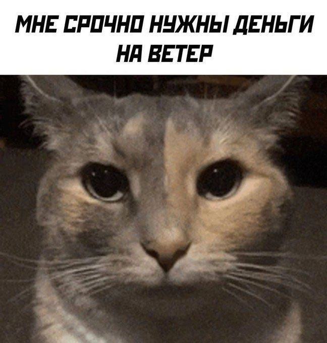 mood: