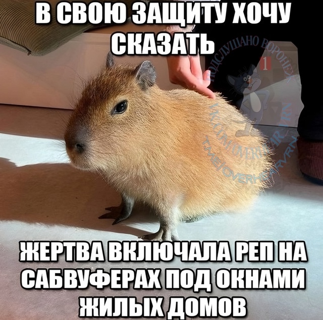 Очень актуально для Воронежа. Бесит, когда поздно вече?...