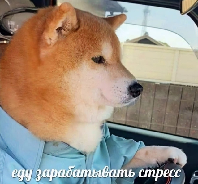 Собираемся на работку!