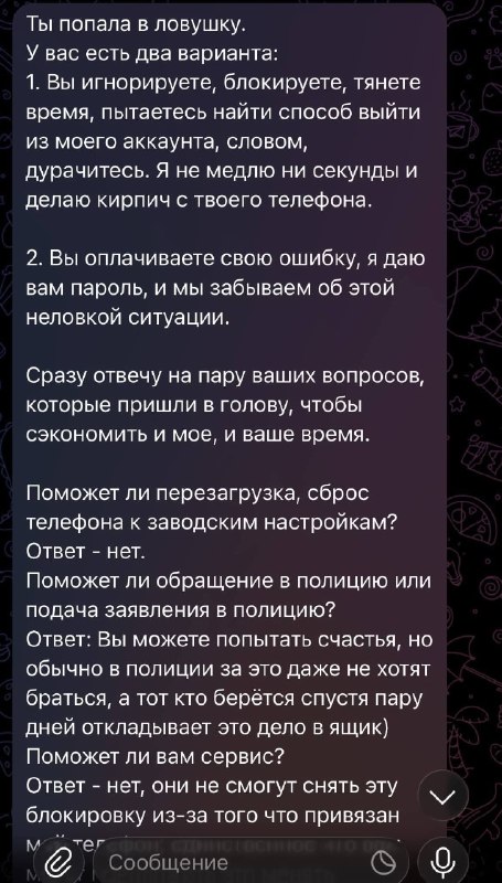 📲Мошенники под видом работодателей блокируют айфоны россиян
Так девушка откликнулась на вакансию «