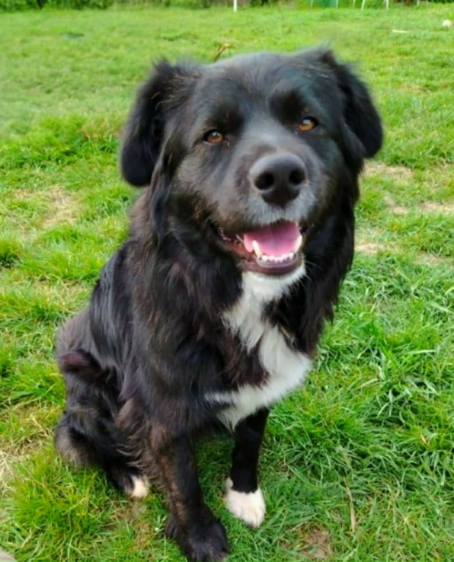 Познакомьтесь с чудесным мальчиком, которому 2 года! О...